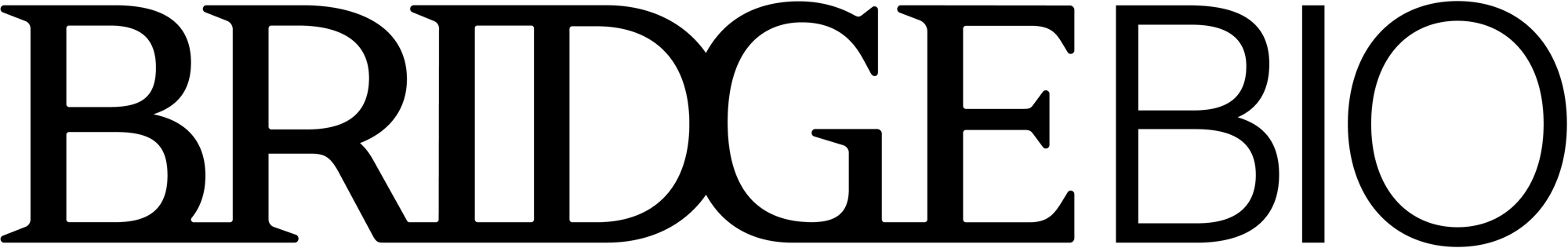 BRIDGE_BIO_black